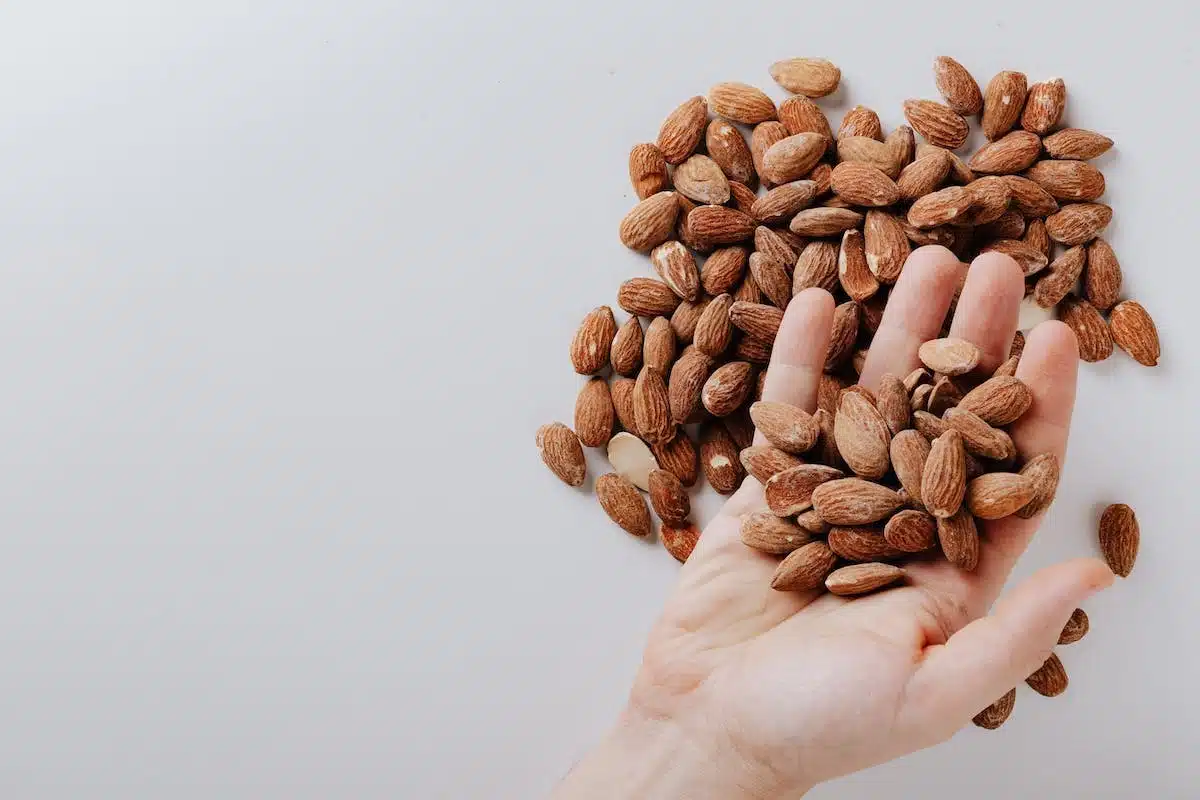 sport  alimentation