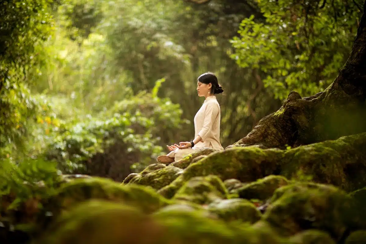 méditation  nature