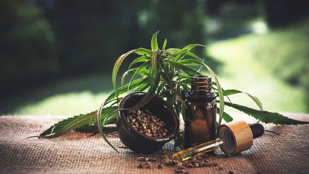 Acheter du CBD en ligne en respectant la loi française