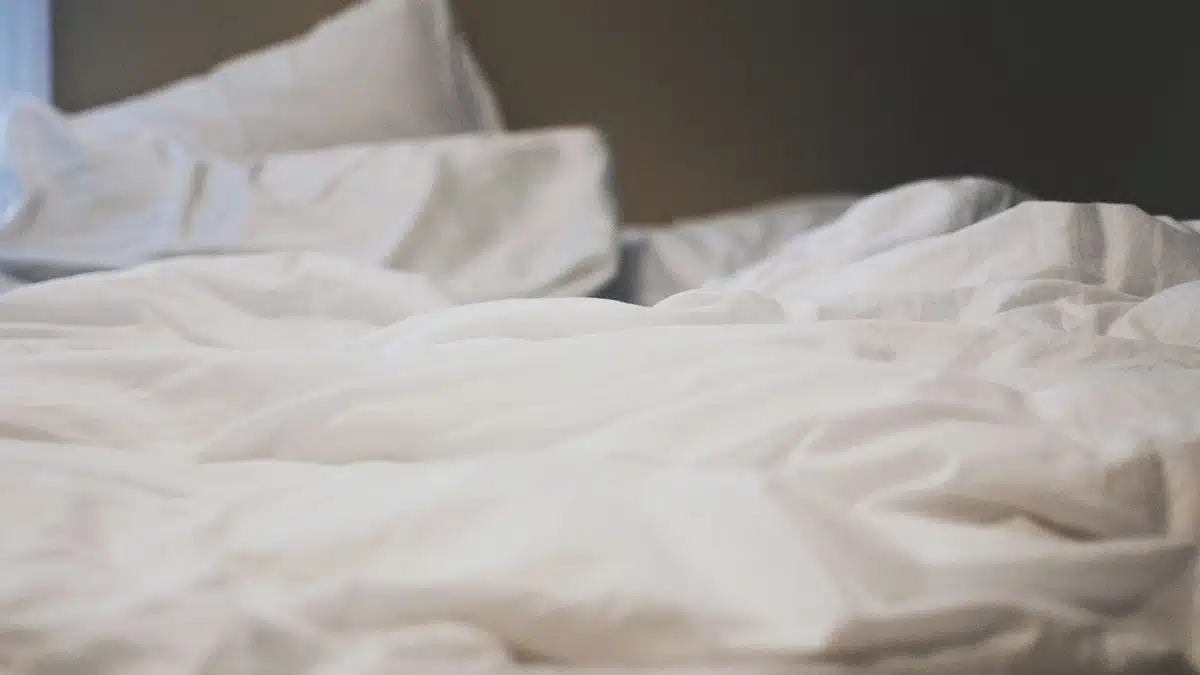 Les meilleures astuces pour se débarrasser des punaises de lit