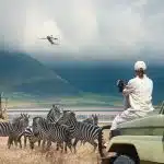 Voyager en Safari