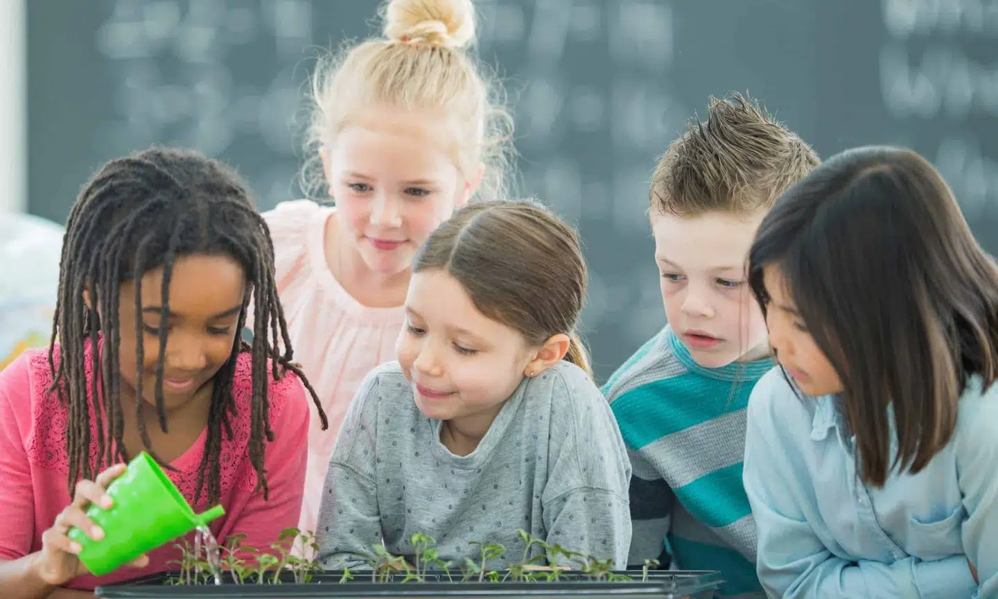 trouver une école qui forme dans le domaine de l’environnement